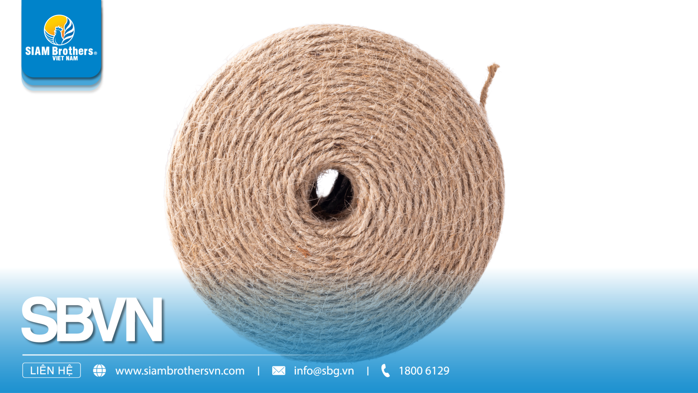 Phân biệt các loại sợi dây thừng: Sợi PP, PE, Nylon, Manila – Loại nào phù hợp với nhu cầu của bạn?	