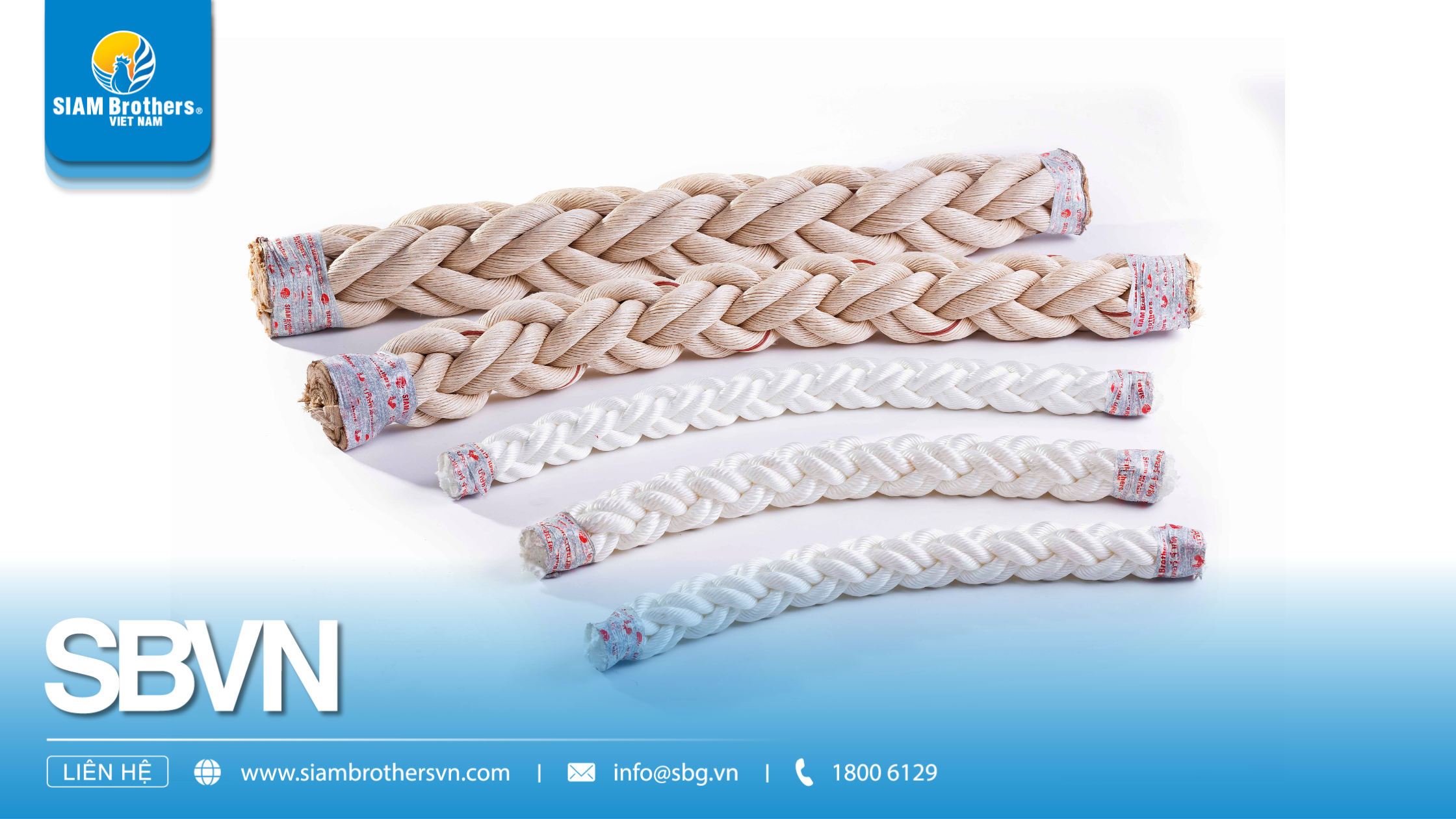 Sợi Polyethylene (PE) là gì? Ưu nhược điểm & Ứng dụng trong công – nông nghiệp