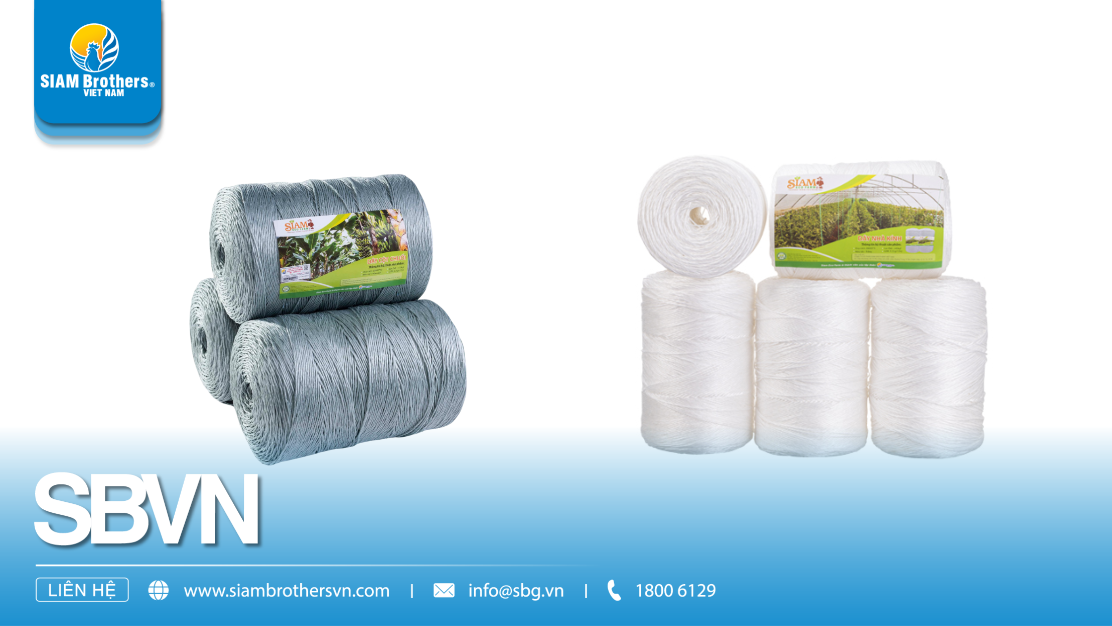 Sợi Polyethylene (PE) là gì? Ưu nhược điểm & Ứng dụng trong công – nông nghiệp