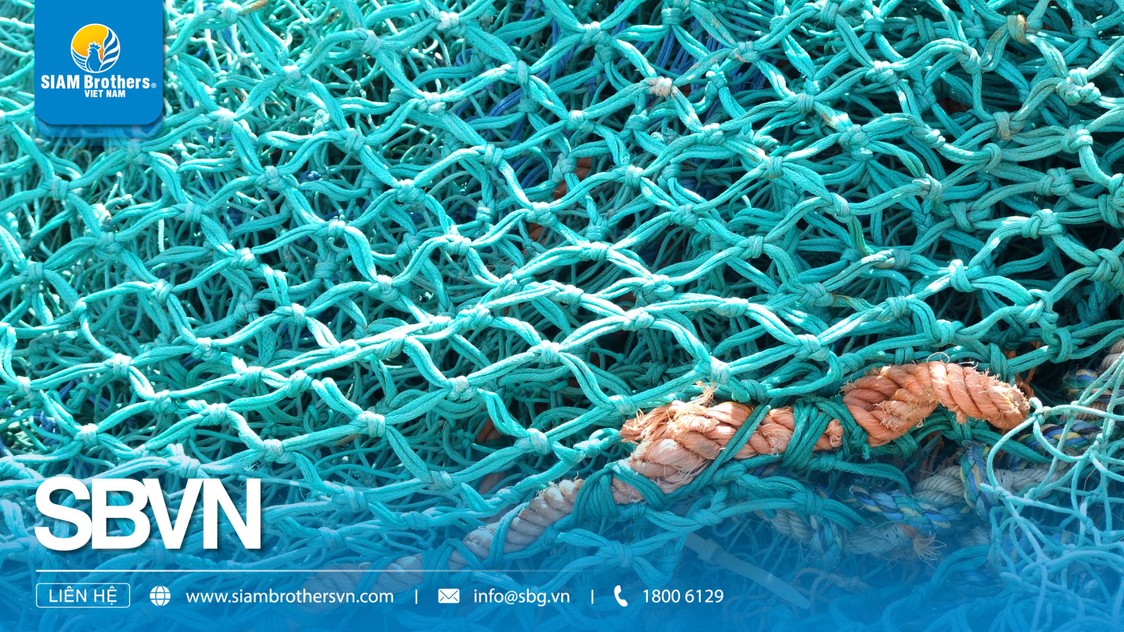 Sợi Polyethylene (PE) là gì? Ưu nhược điểm & Ứng dụng trong công – nông nghiệp
