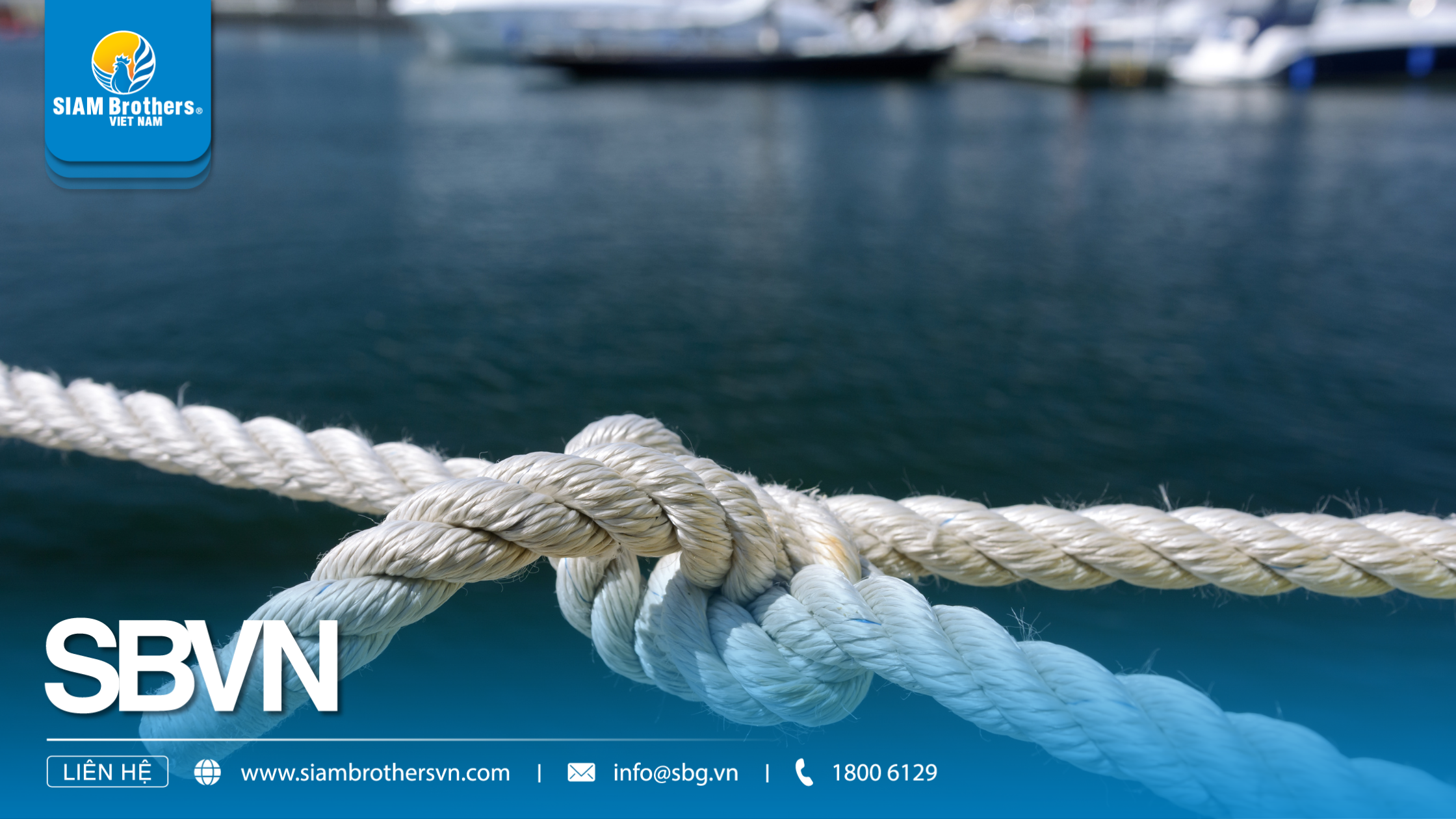 Sợi Polyethylene (PE) là gì? Ưu nhược điểm & Ứng dụng trong công – nông nghiệp