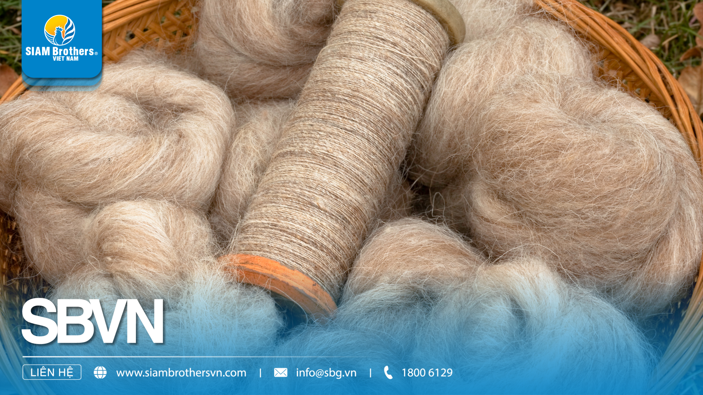 So sánh sợi tự nhiên và sợi tổng hợp: Lựa chọn nào tối ưu cho ngành dây thừng và nông nghiệp?