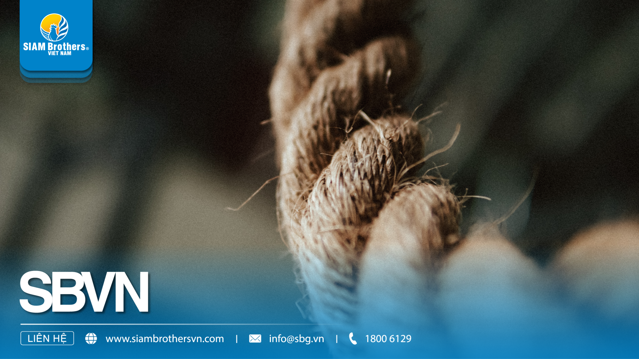 So sánh sợi tự nhiên và sợi tổng hợp: Lựa chọn nào tối ưu cho ngành dây thừng và nông nghiệp?
