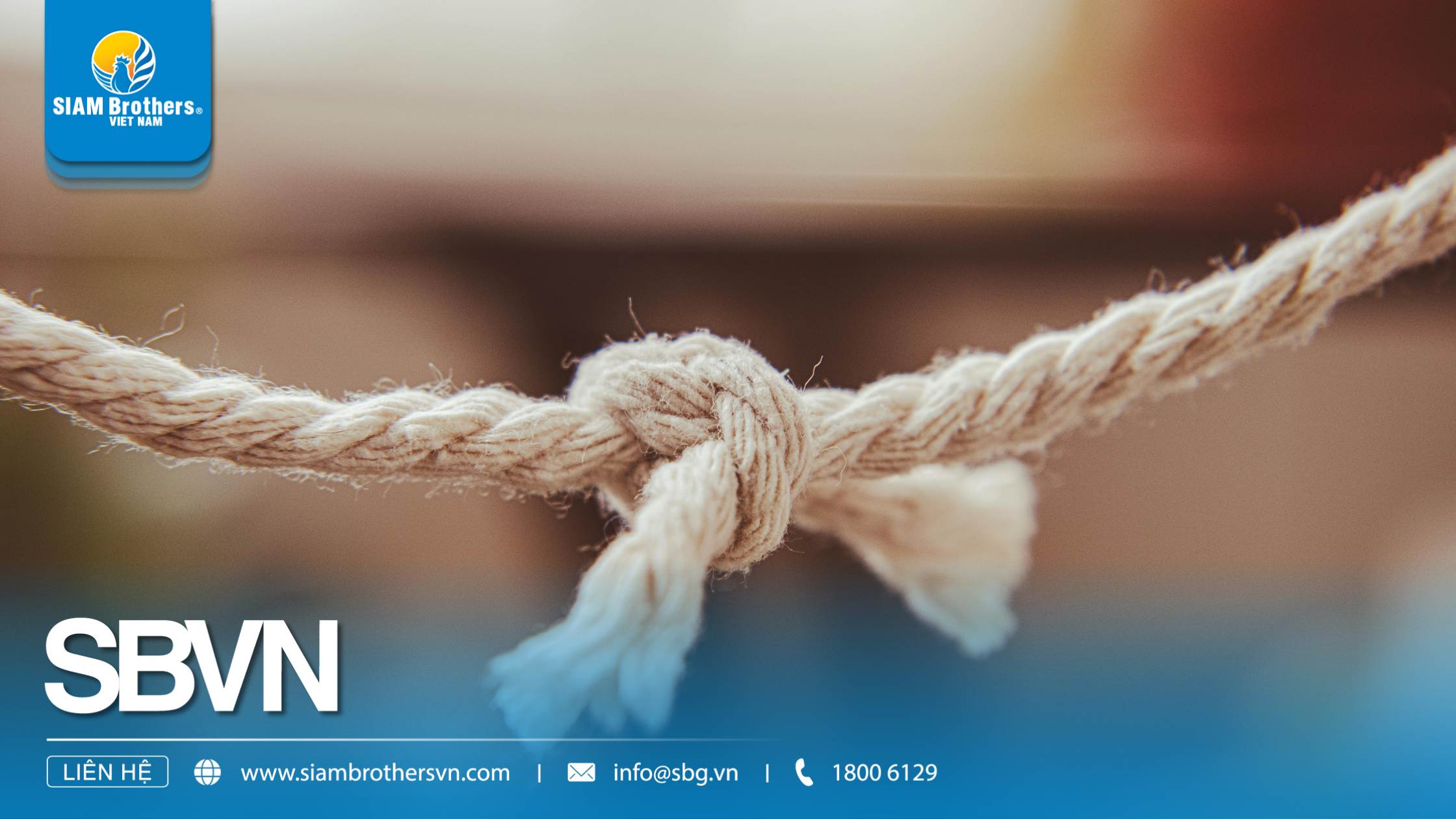 So sánh sợi tự nhiên và sợi tổng hợp: Lựa chọn nào tối ưu cho ngành dây thừng?