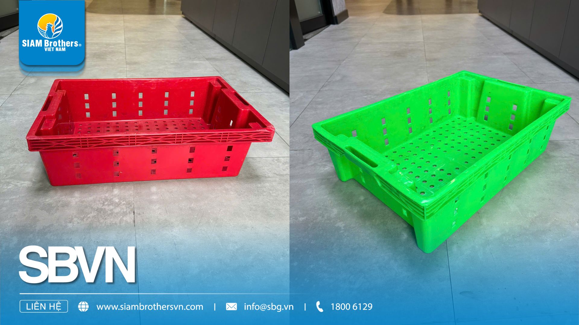 Sóng Nhựa Đựng Cá – Ứng Dụng Bền Vững Cho Ngành Ngư Nghiệp