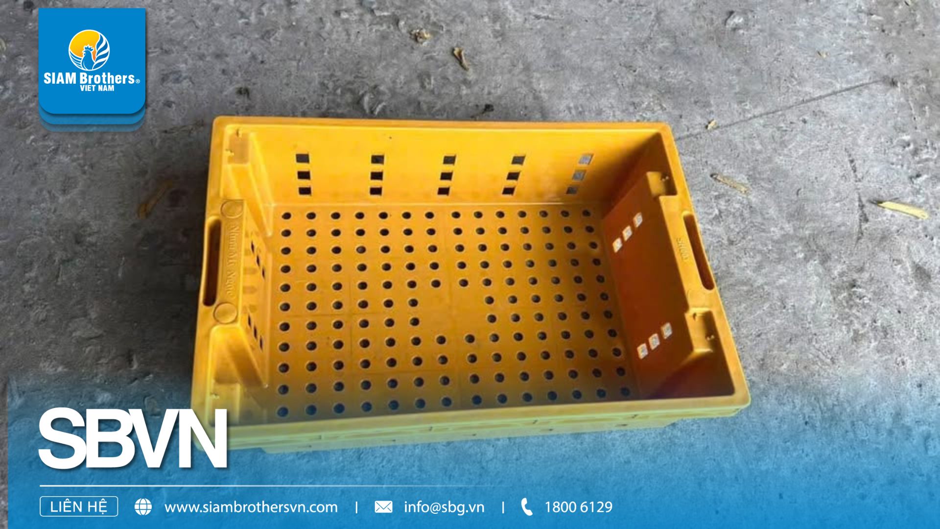 Sóng Nhựa Đựng Cá – Ứng Dụng Bền Vững Cho Ngành Ngư Nghiệp