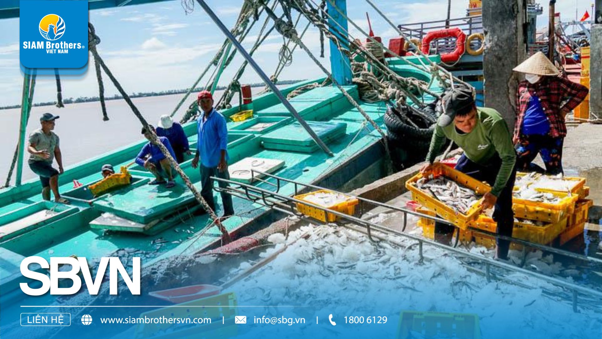 Sóng Nhựa Đựng Cá – Ứng Dụng Bền Vững Cho Ngành Ngư Nghiệp