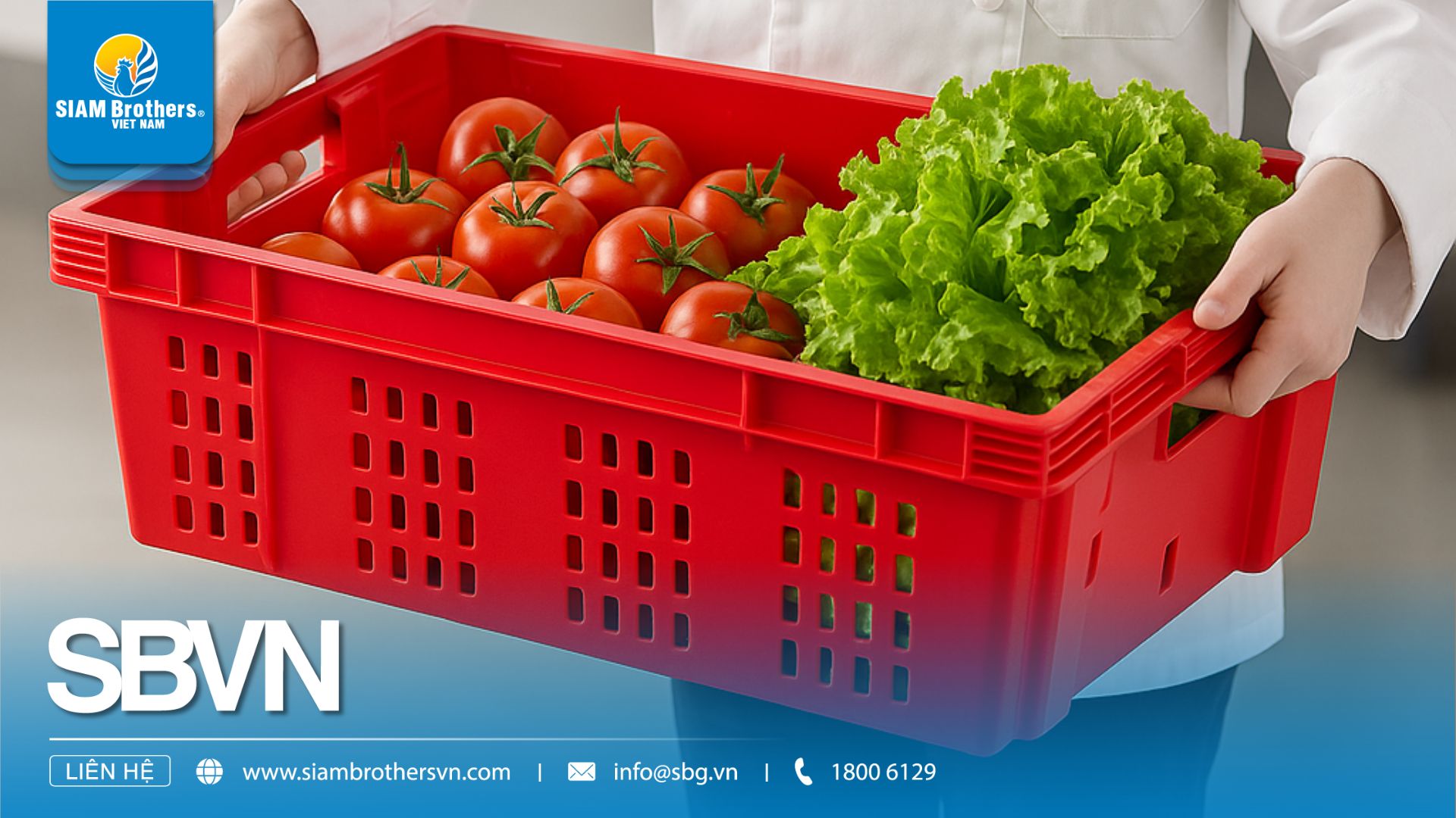 Top 3 Ứng Dụng Khay Nhựa Đa Năng Trong Cửa Hàng, Siêu Thị, Nhà Hàng