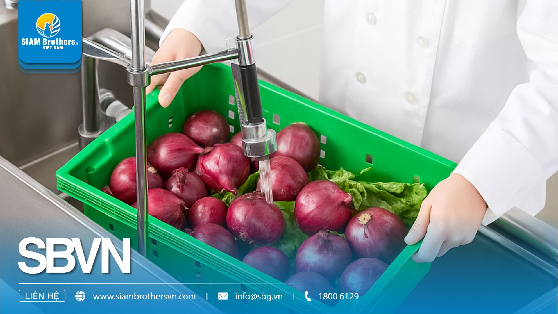 Top 3 Ứng Dụng Khay Nhựa Đa Năng Trong Cửa Hàng, Siêu Thị, Nhà Hàng