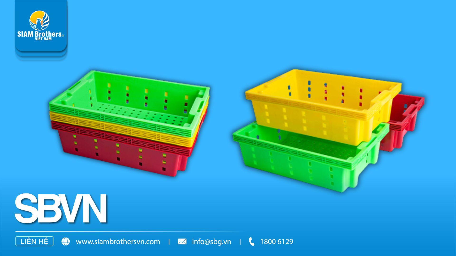 Top 3 Ứng Dụng Khay Nhựa Đa Năng Trong Cửa Hàng, Siêu Thị, Nhà Hàng