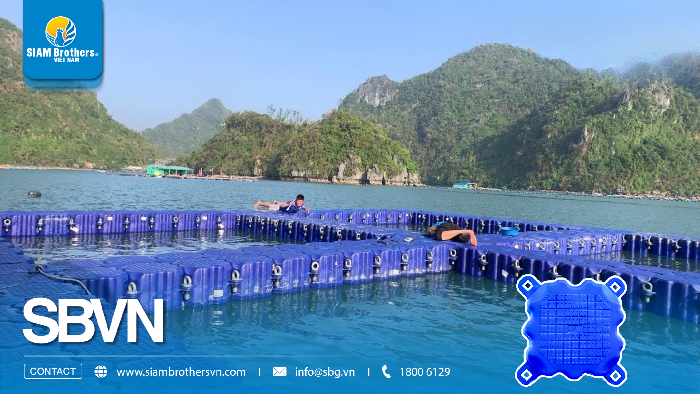 Vật tư nuôi trồng thủy sản gồm những gì? Danh mục đầy đủ cho mô hình nuôi hiện đại