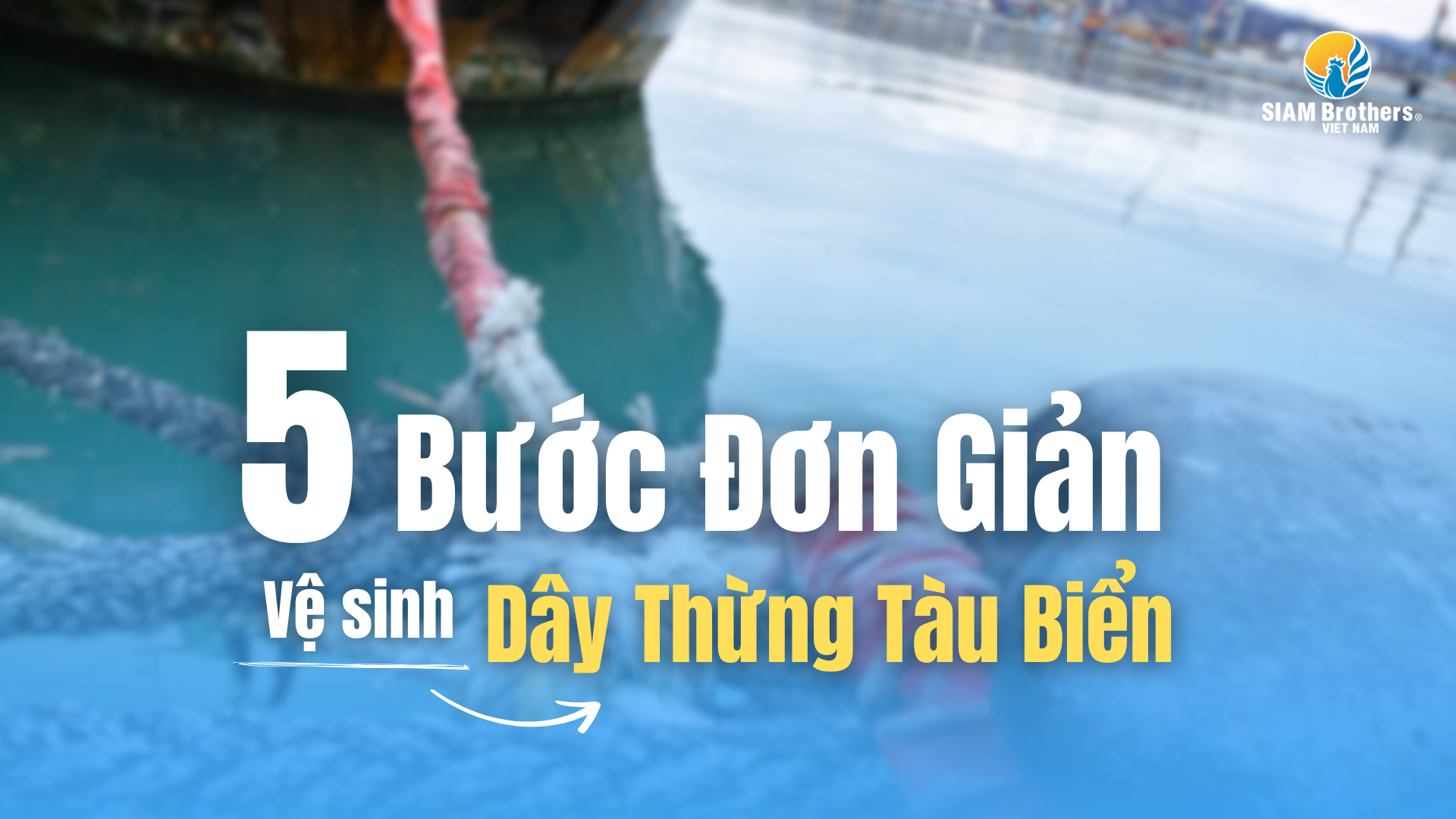 5 Bước Đơn Giản Vệ Sinh Dây Thừng Tàu Biển