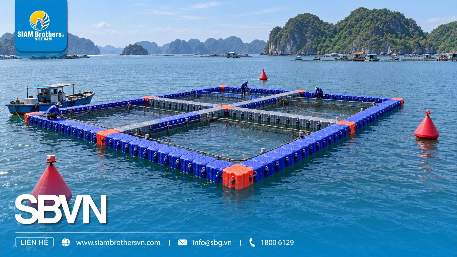 5 điều cần biết trước khi mua Phao cảnh báo LDPE