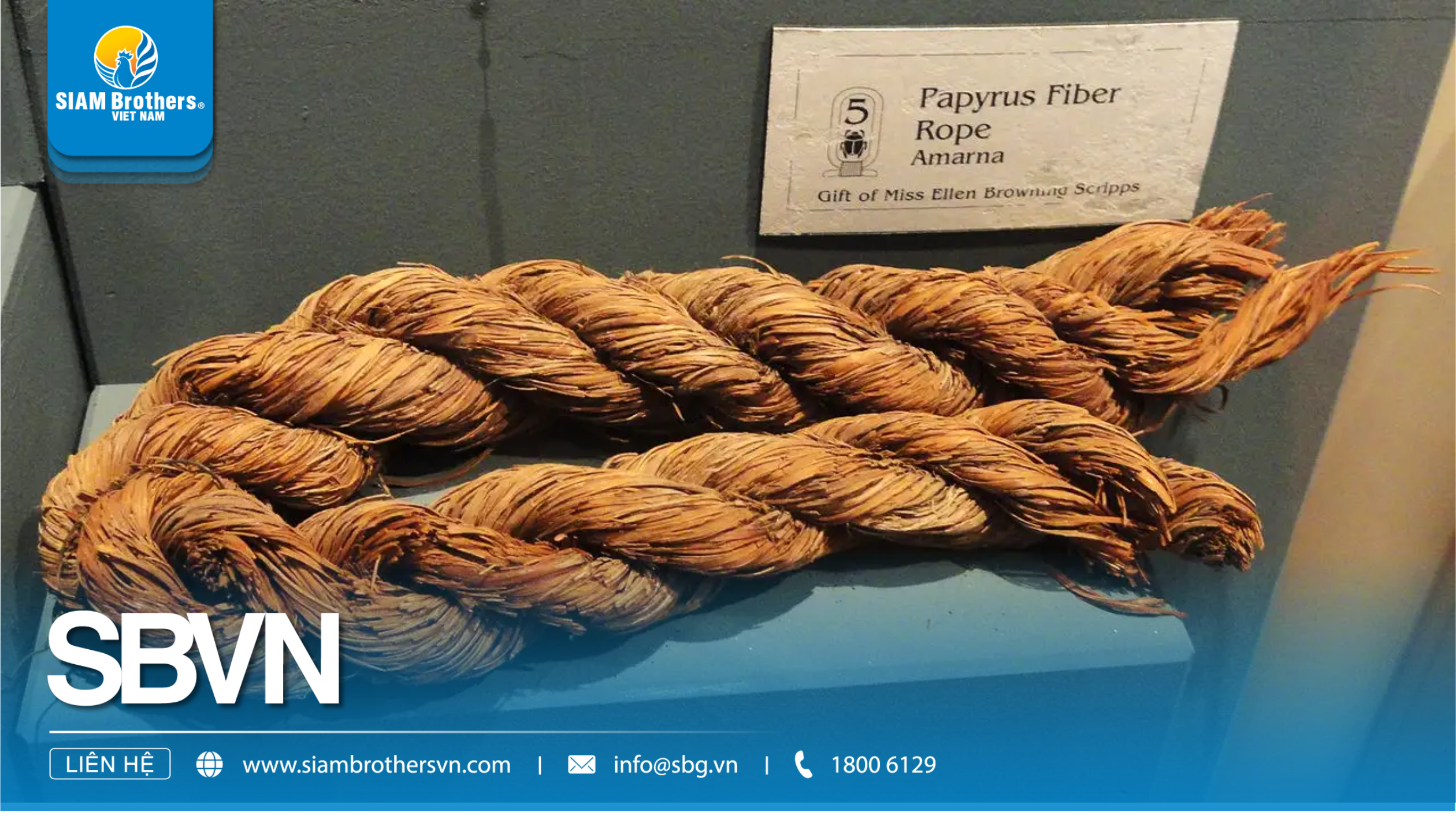 5 FUN FACTS ABOUT ROPE