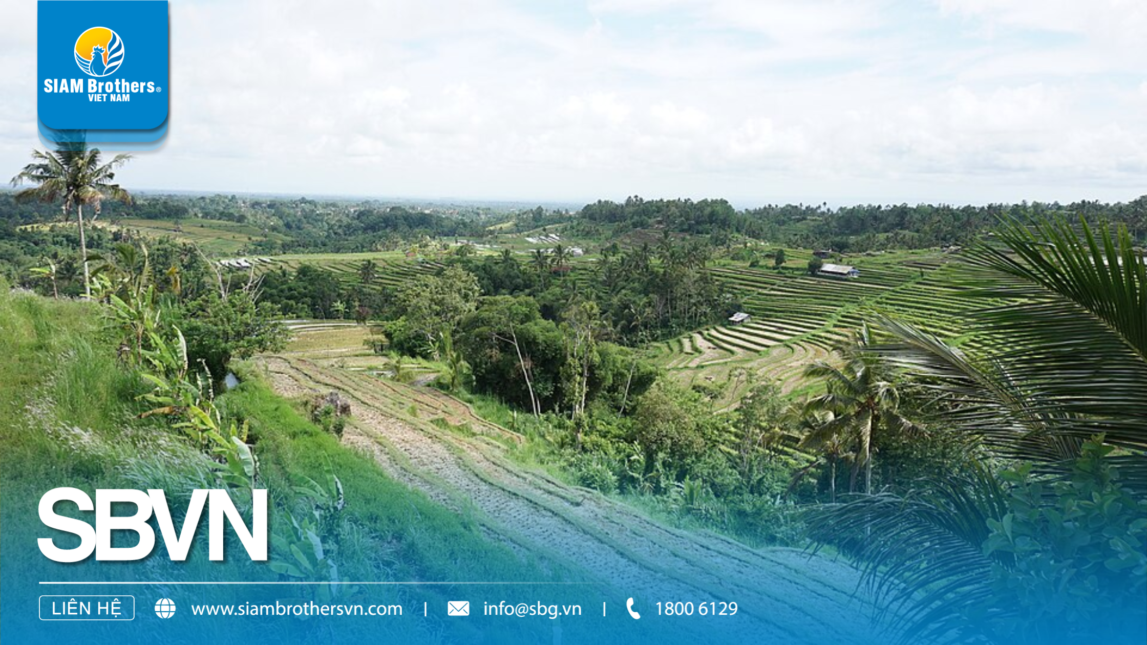 Phương pháp canh tác độc đáo với hệ thống tưới Subak ở Indonesia.