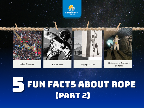 5 Fun facts about rope (Part 2)