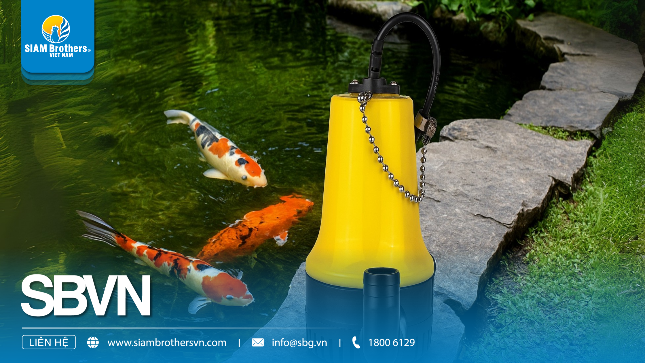 6 điều cần biết trước khi chọn mua bơm chìm
