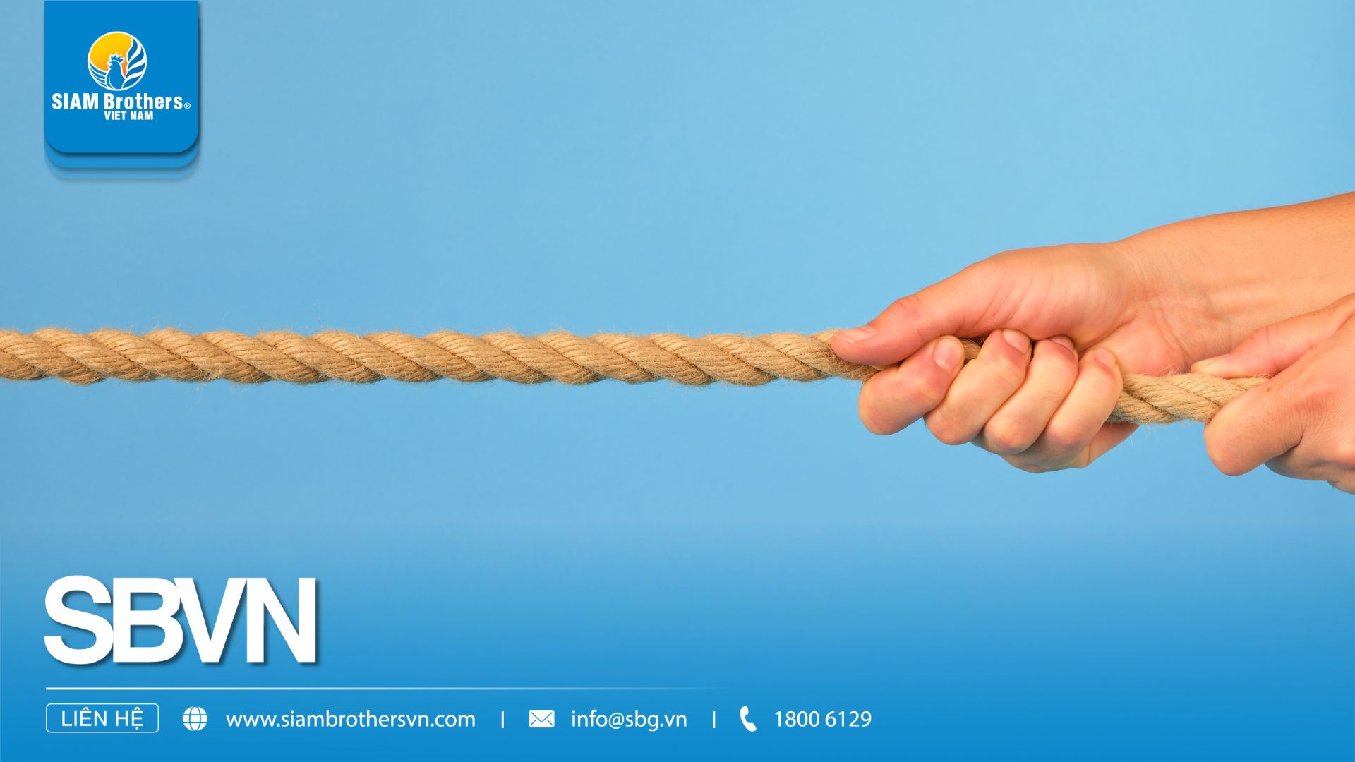 7 Phương Pháp Đo Độ Bền Của Dây Thừng - Kiểm tra lực kéo, độ mài mòn