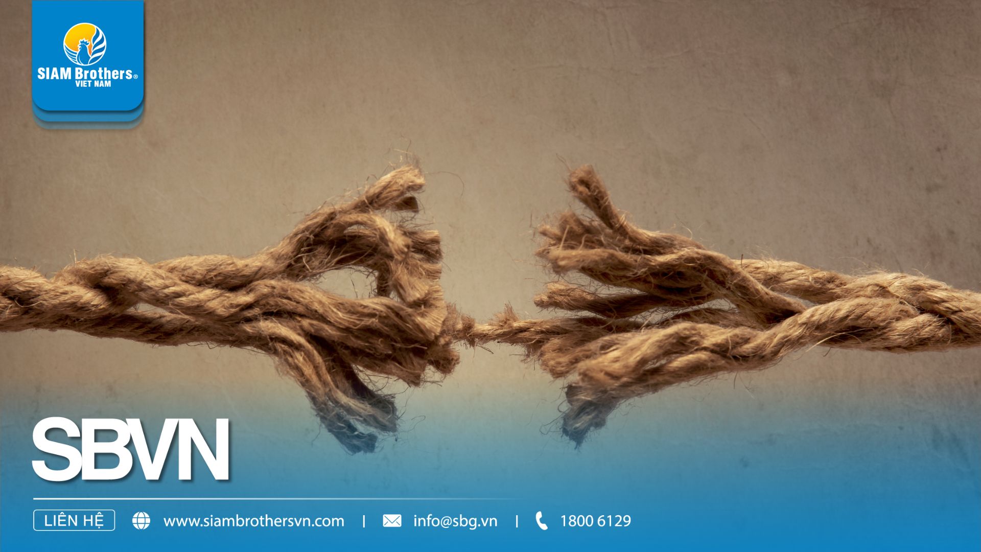 7 Phương Pháp Đo Độ Bền Của Dây Thừng - Kiểm tra lực kéo, độ mài mòn