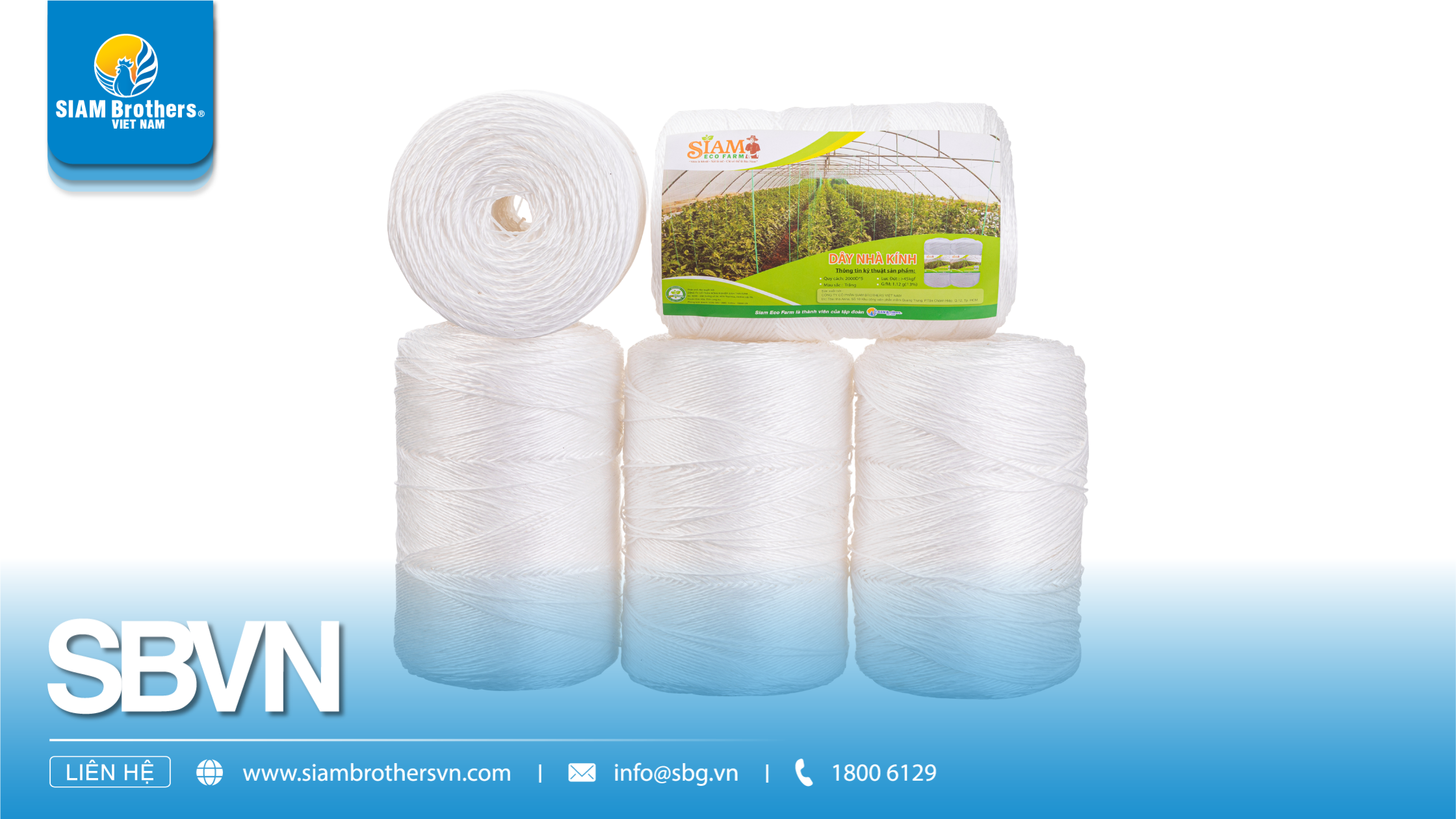 Dây Nhà Kính Chuyên Dụng: Yếu Tố Quan Trọng Giúp Tăng Năng Suất Và Bảo Vệ Cây Trồng Trong Nhà Kính
