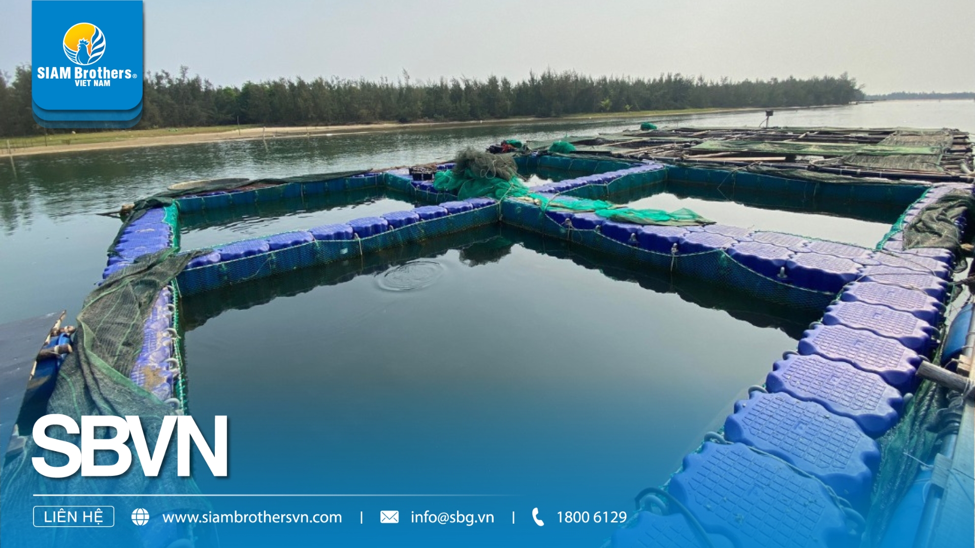 HDPE Floating Cage – An Effective Solution for Water Surface Applications