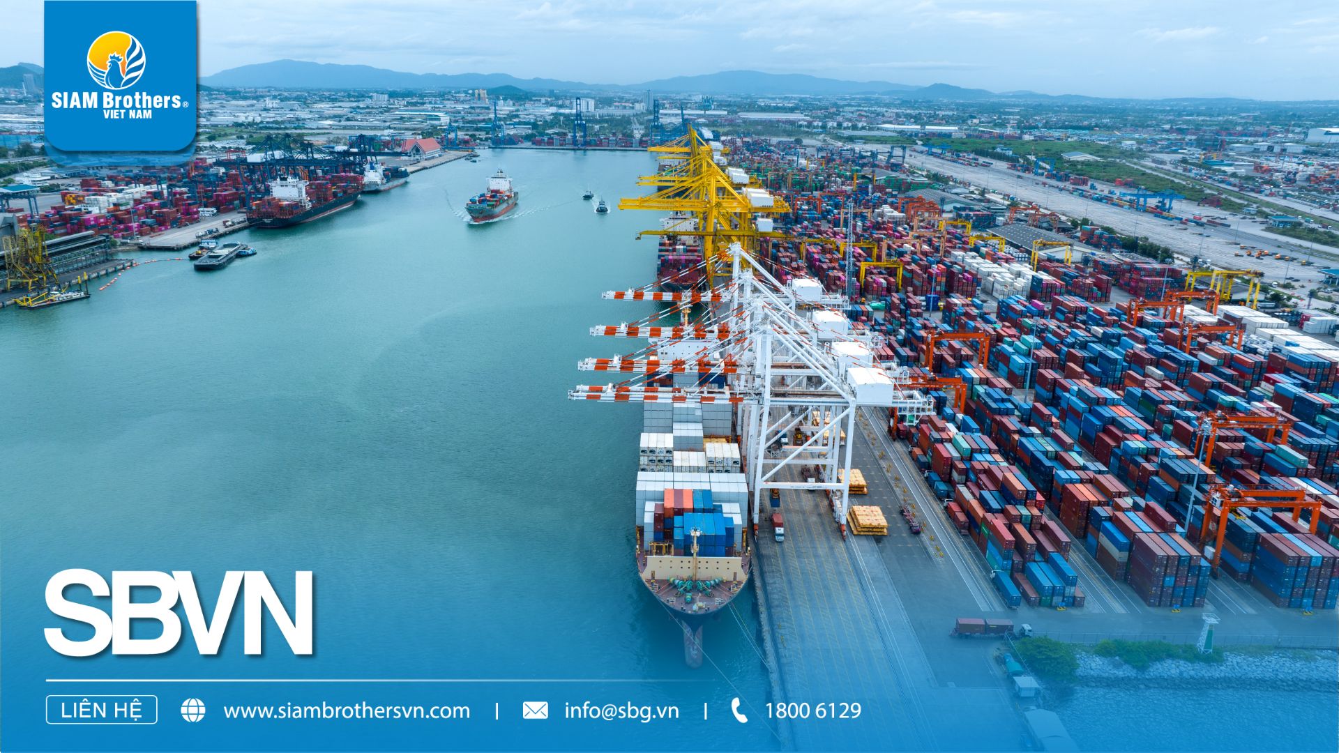 Ứng dụng thực tế của dây chầu đầu trong ngành hàng hải và vận tải biển