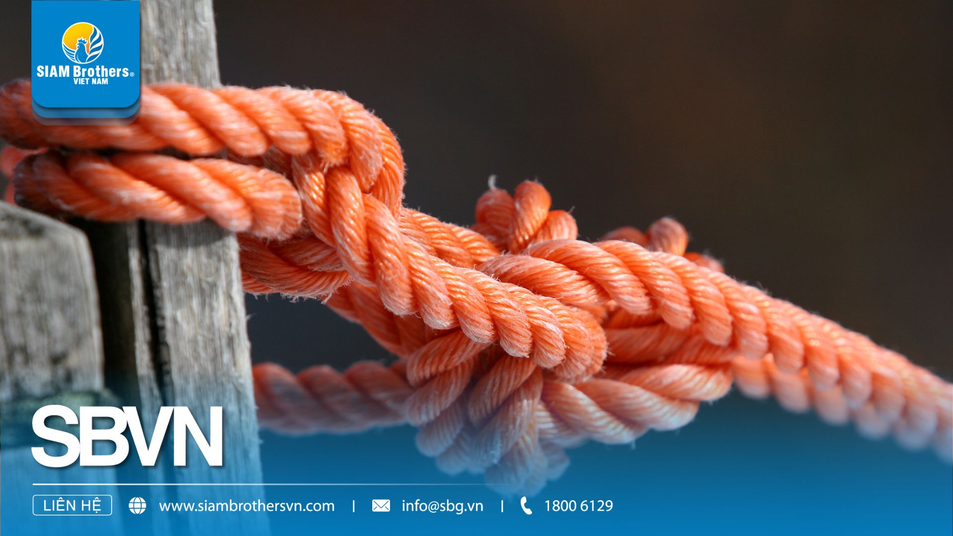 Ứng dụng thực tế của dây chầu đầu trong ngành hàng hải và vận tải biển