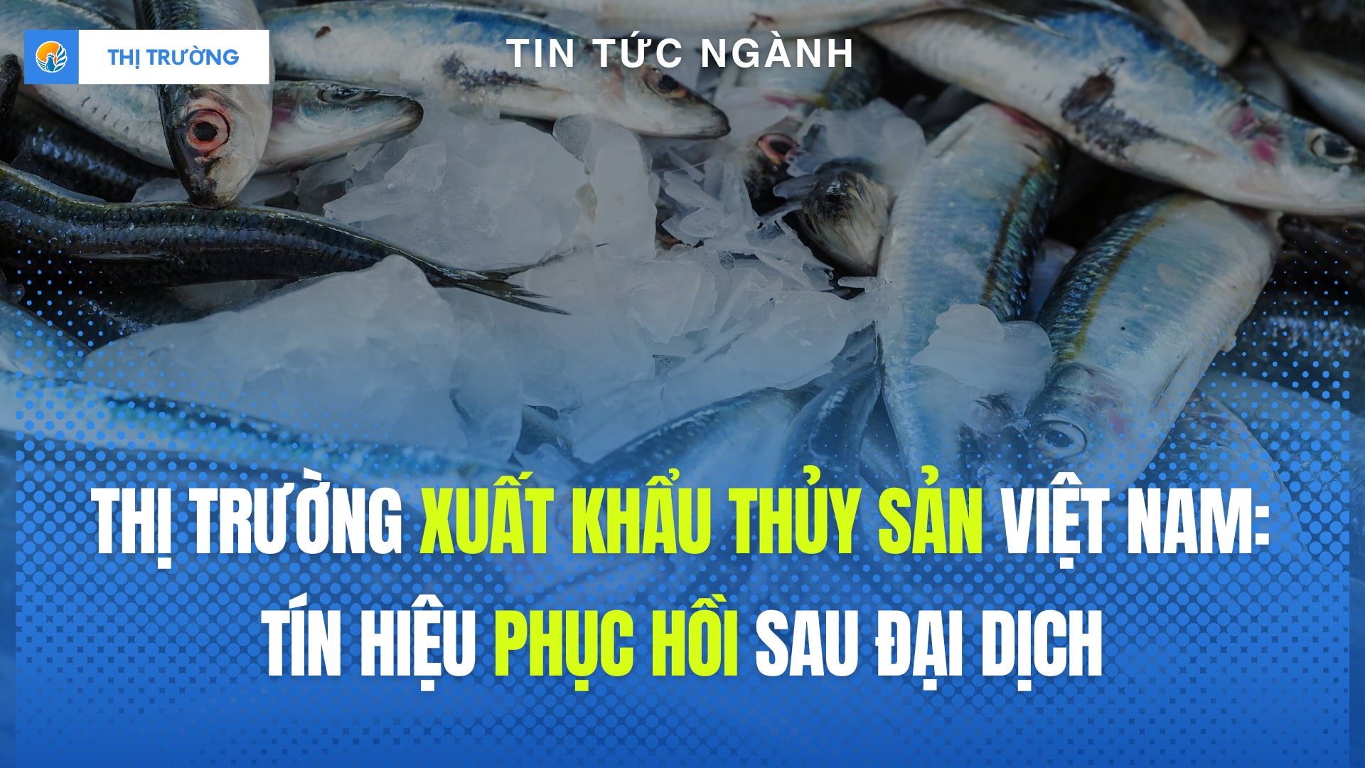Thị trường xuất khẩu thủy sản Việt Nam: Tín hiệu phục hồi sau đại dịch