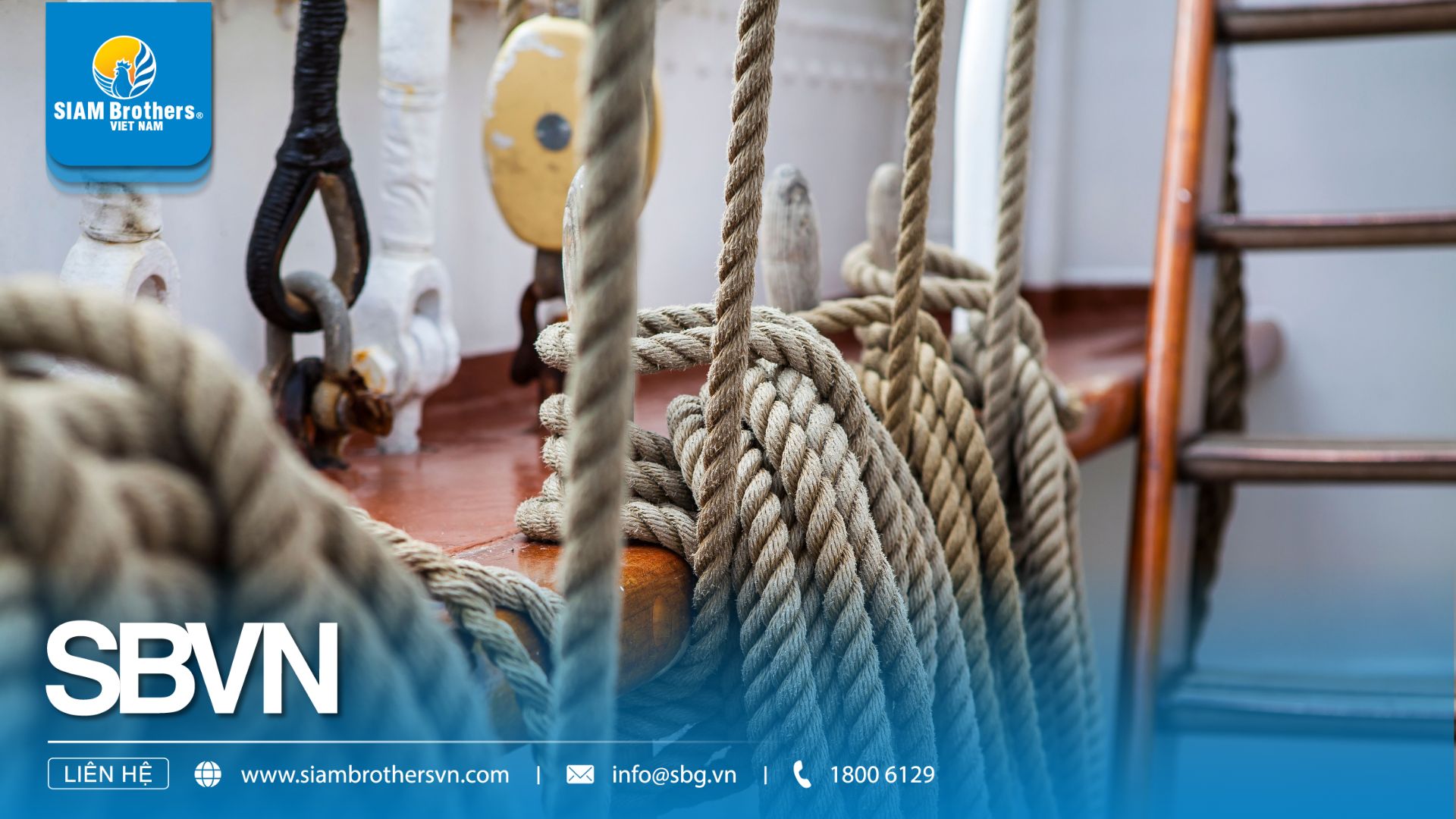 Breaking Load, Safe Working Load và Working Load Limit của dây hàng hải khác nhau thế nào?