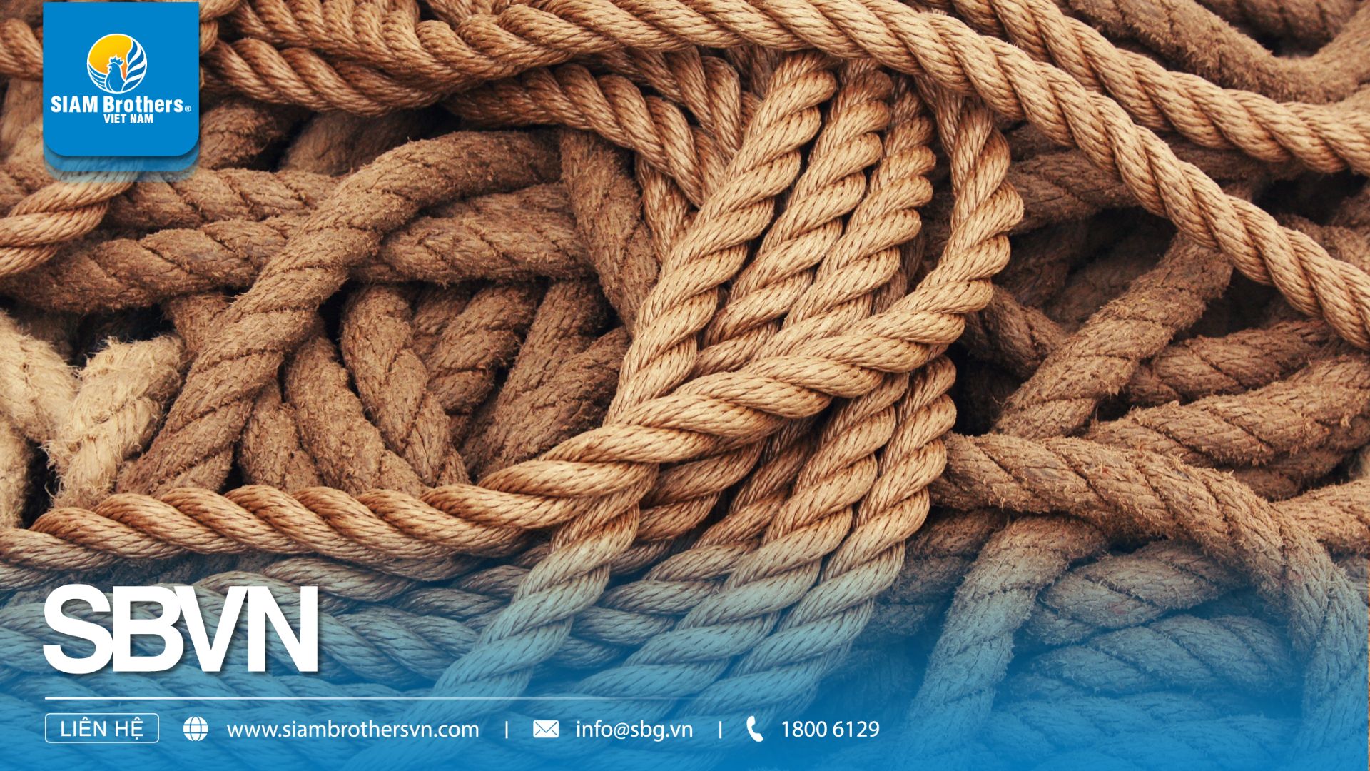 Breaking Load, Safe Working Load và Working Load Limit của dây hàng hải khác nhau thế nào?
