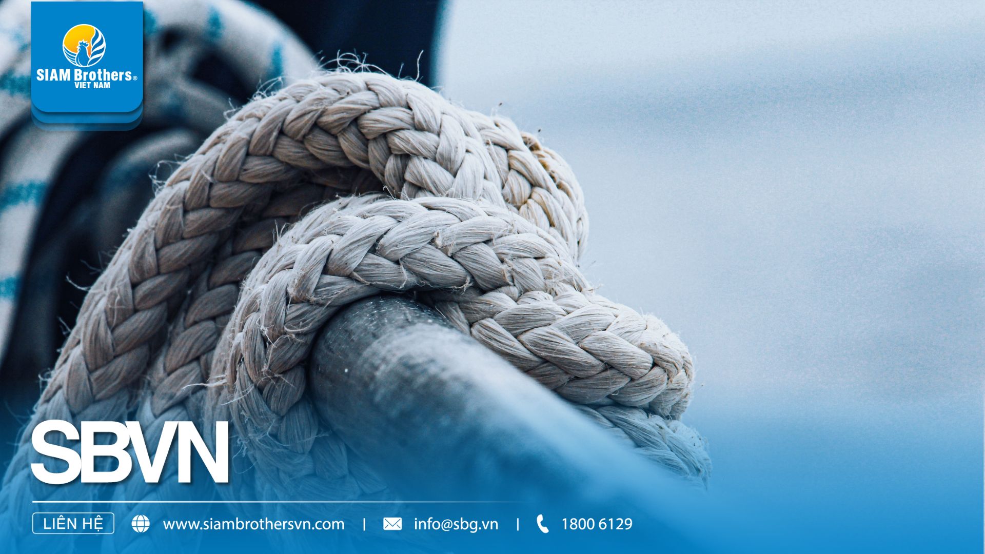 Breaking Load, Safe Working Load và Working Load Limit của dây hàng hải khác nhau thế nào?