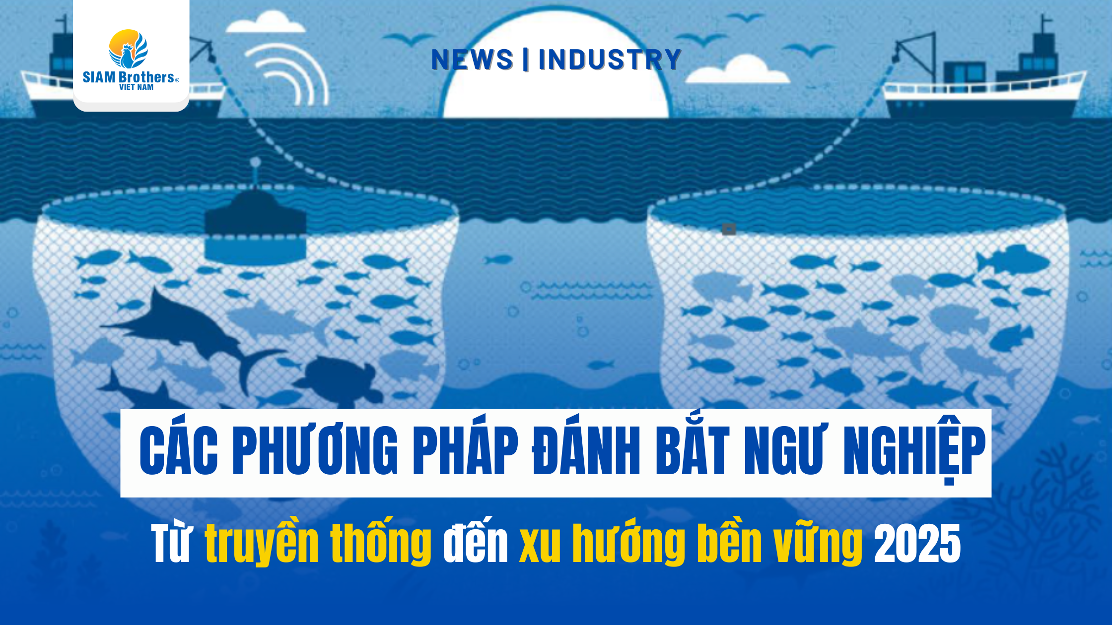 Tất tần tật về các phương pháp đánh bắt ngư nghiệp: Kiến thức cần biết năm 2025