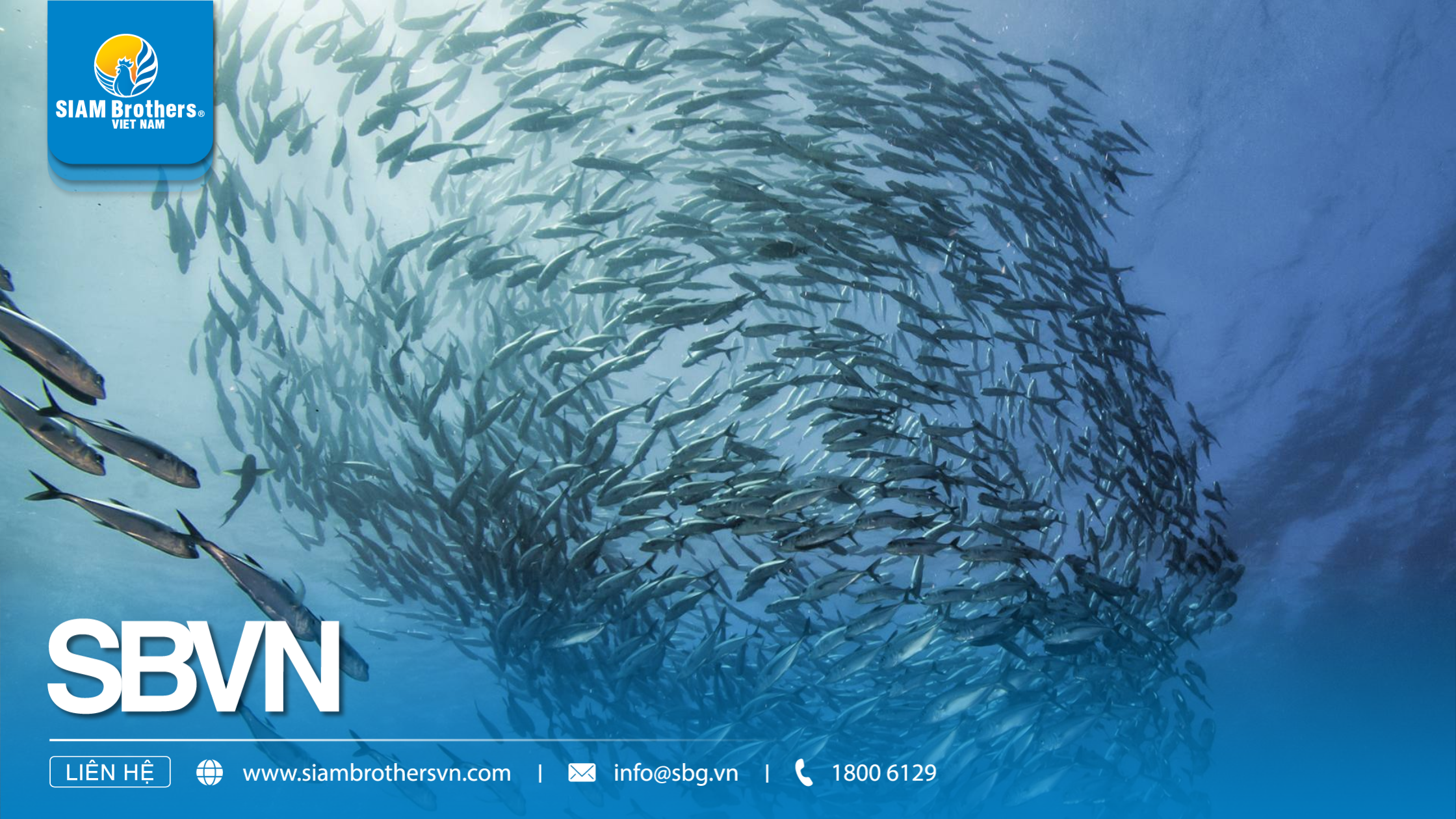 Fishing Methods – Everything from Traditional to Sustainable Trends in 2025