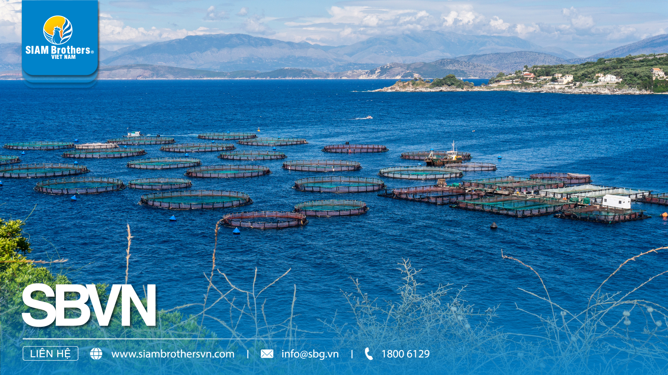 Fishing Methods – Everything from Traditional to Sustainable Trends in 2025