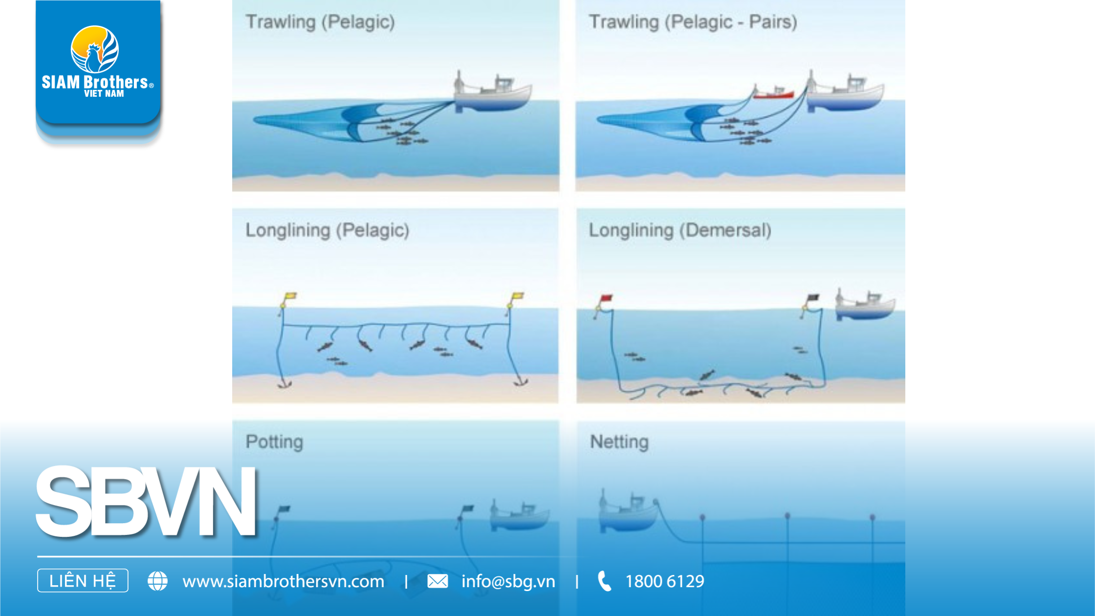 Fishing Methods – Everything from Traditional to Sustainable Trends in 2025