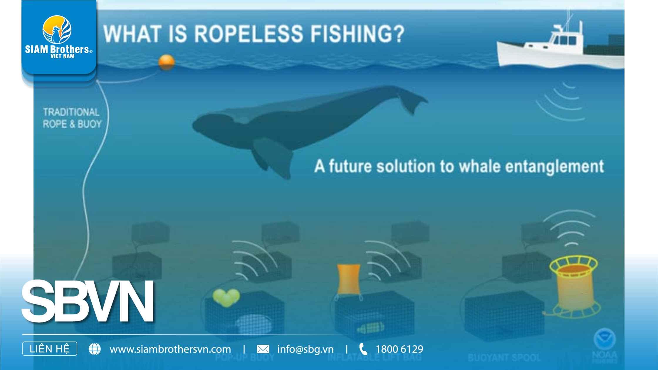 Fishing Methods – Everything from Traditional to Sustainable Trends in 2025