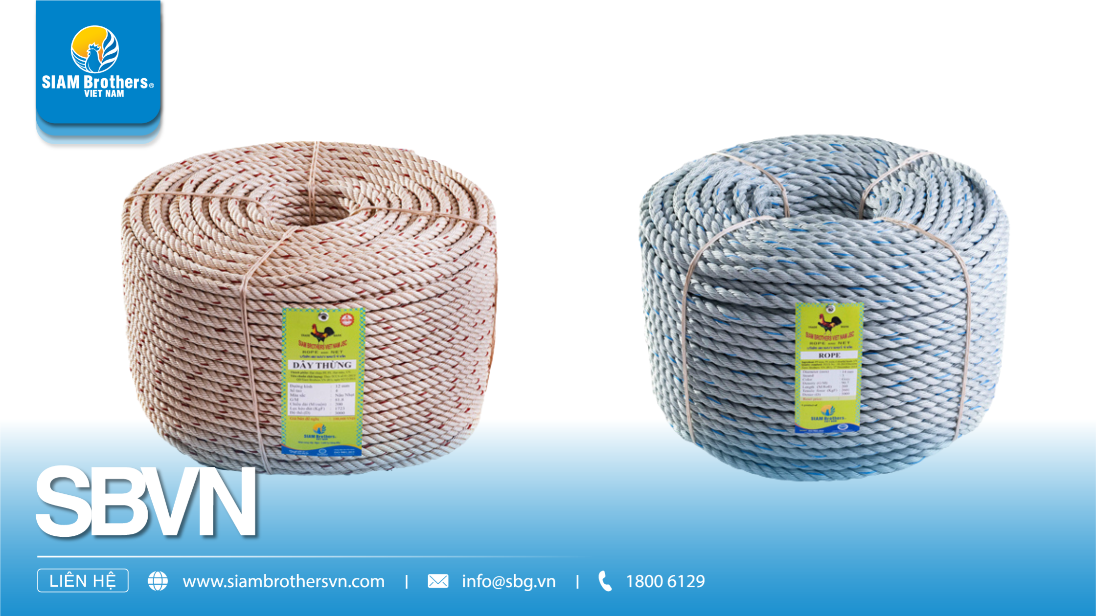 Dây 3 tao, 4 tao, 8 tao: chọn đúng kết cấu theo tải và điều kiện làm việc