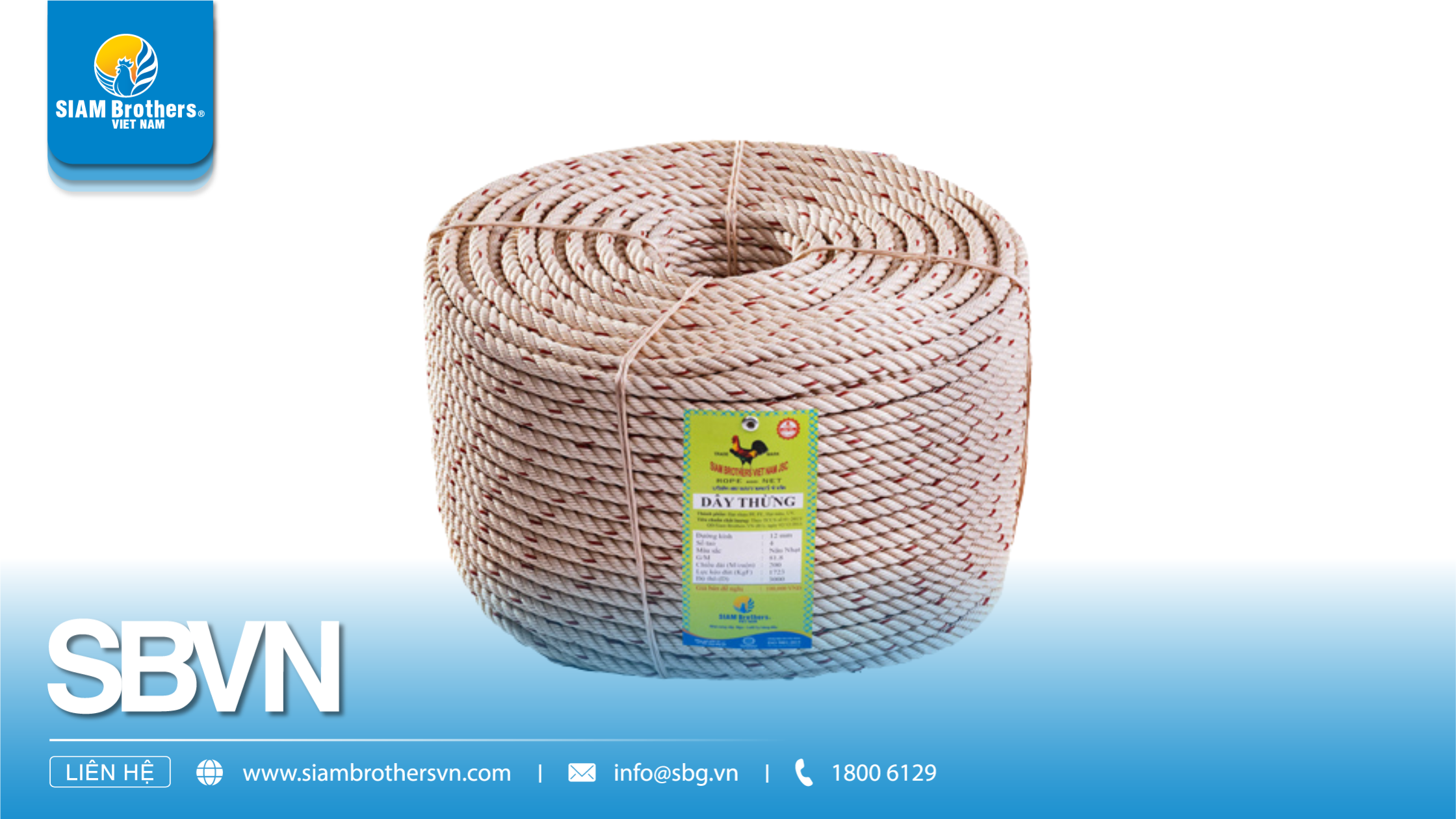 Dây 3 tao, 4 tao, 8 tao: chọn đúng kết cấu theo tải và điều kiện làm việc