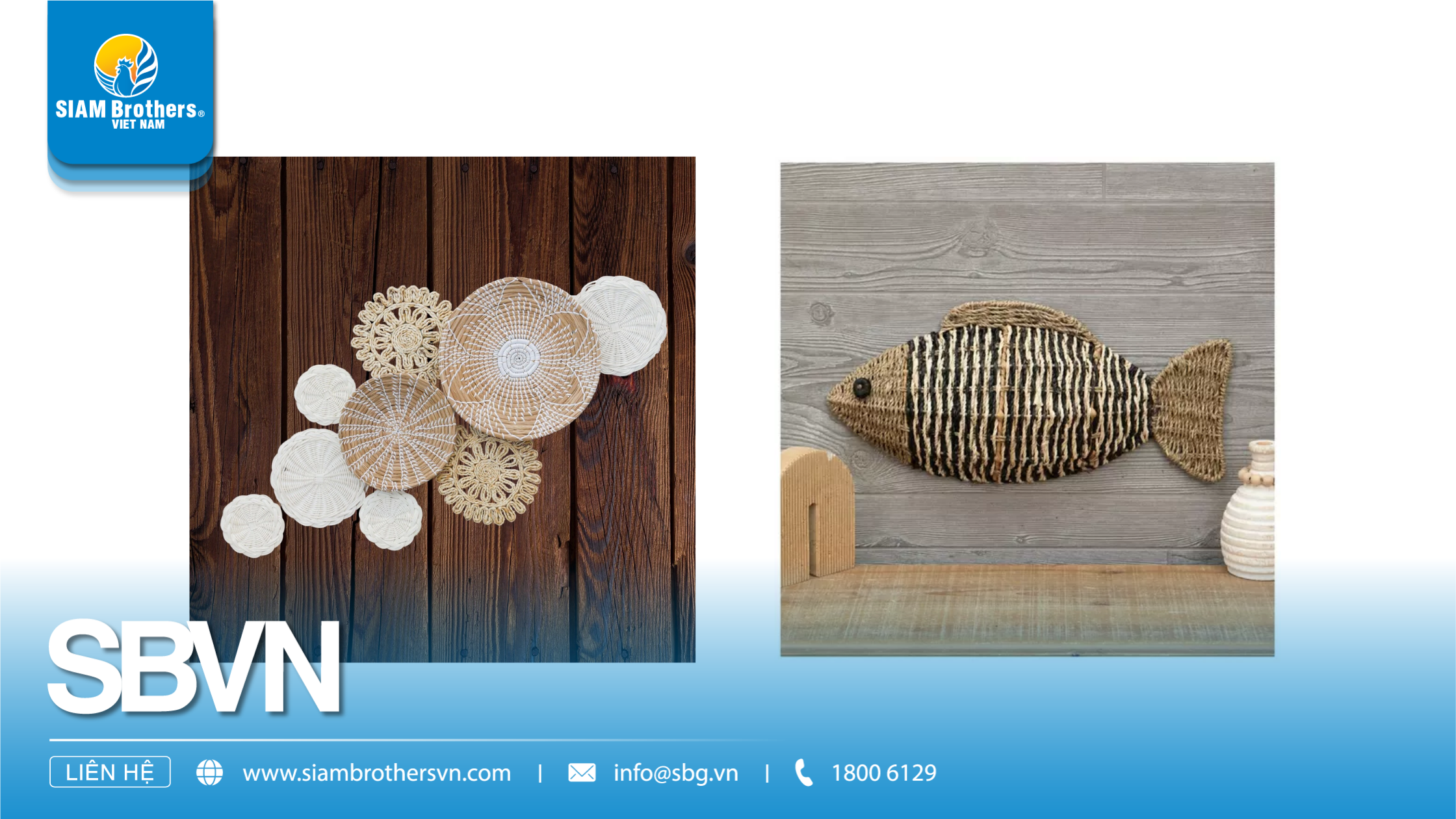 Dây Cỏ Biển – Vật Liệu Tự Nhiên Bền Vững Được Ưa Chuộng Trong Nội Thất Và Thủ Công Mỹ Nghệ