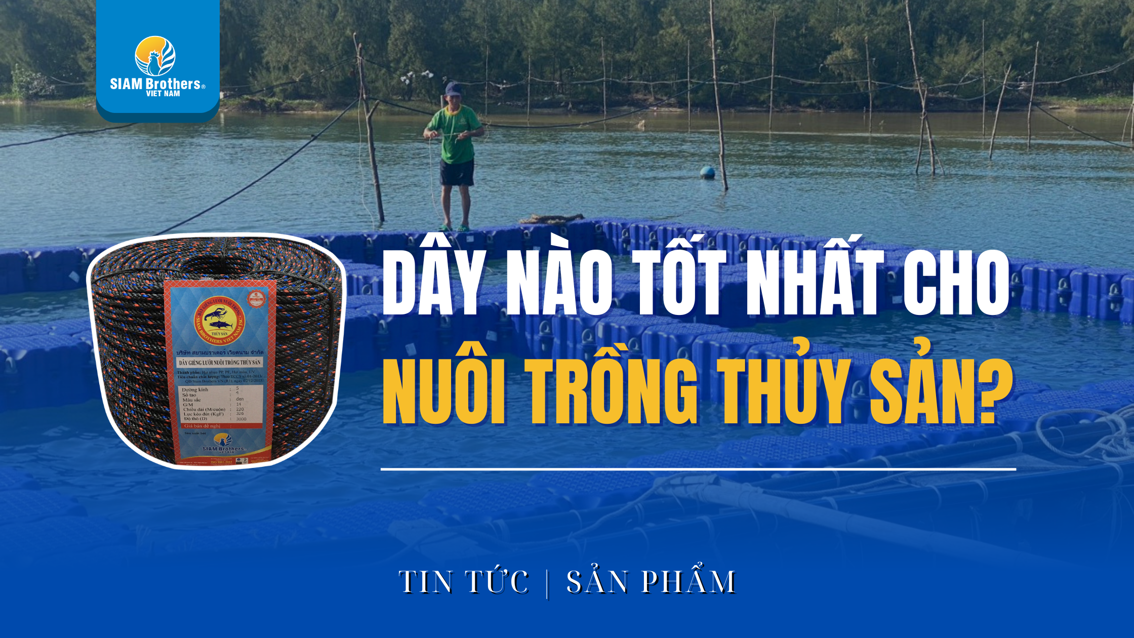 Dây nào tốt nhất cho nuôi trồng thủy sản? Bật mí Top 1 được ưa chuộng