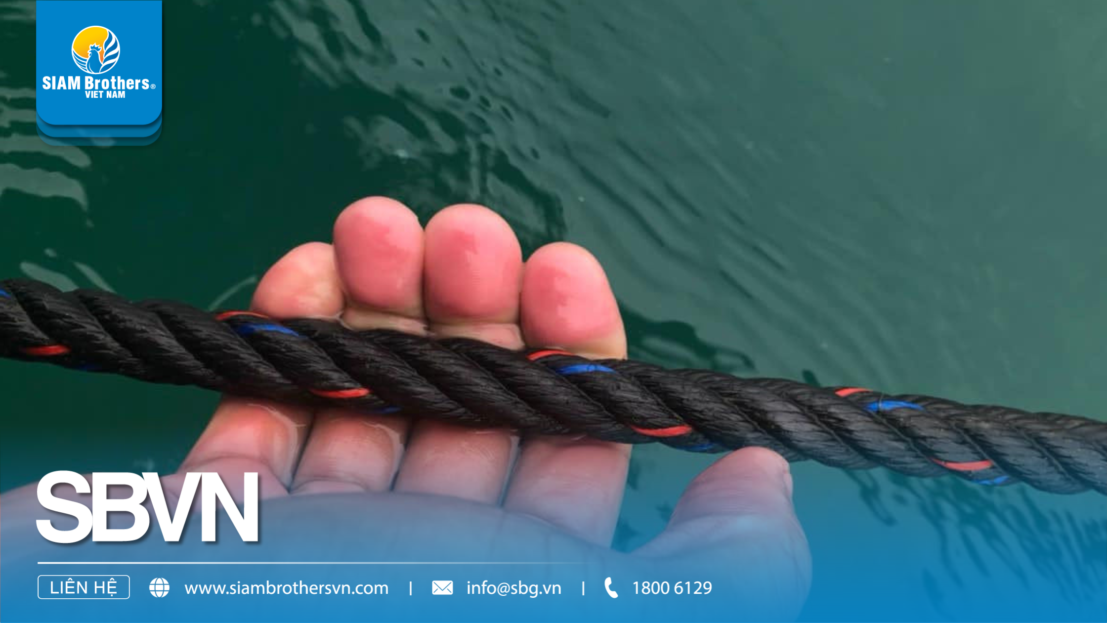 Dây Nuôi Trồng Thủy Sản Là Gì? Ứng Dụng Trong Nuôi Hàu, Nuôi Trai Và Lồng Bè