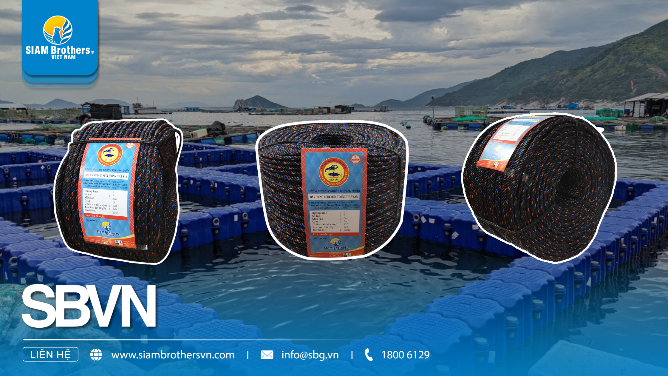 Dây Nuôi Trồng Thủy Sản Là Gì? Ứng Dụng Trong Nuôi Hàu, Nuôi Trai Và Lồng Bè