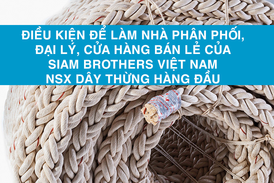 Điều kiện làm nhà phân phối của Siam Brothers Việt Nam - Nhà sản xuất dây con gà hàng đầu