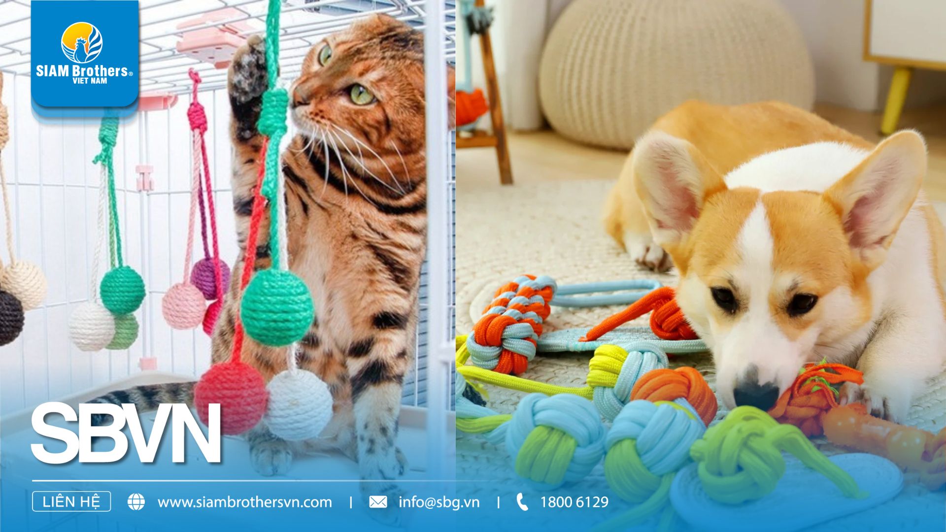 DIY đồ dùng cho thú cưng bằng dây thừng an toàn, bền đẹp