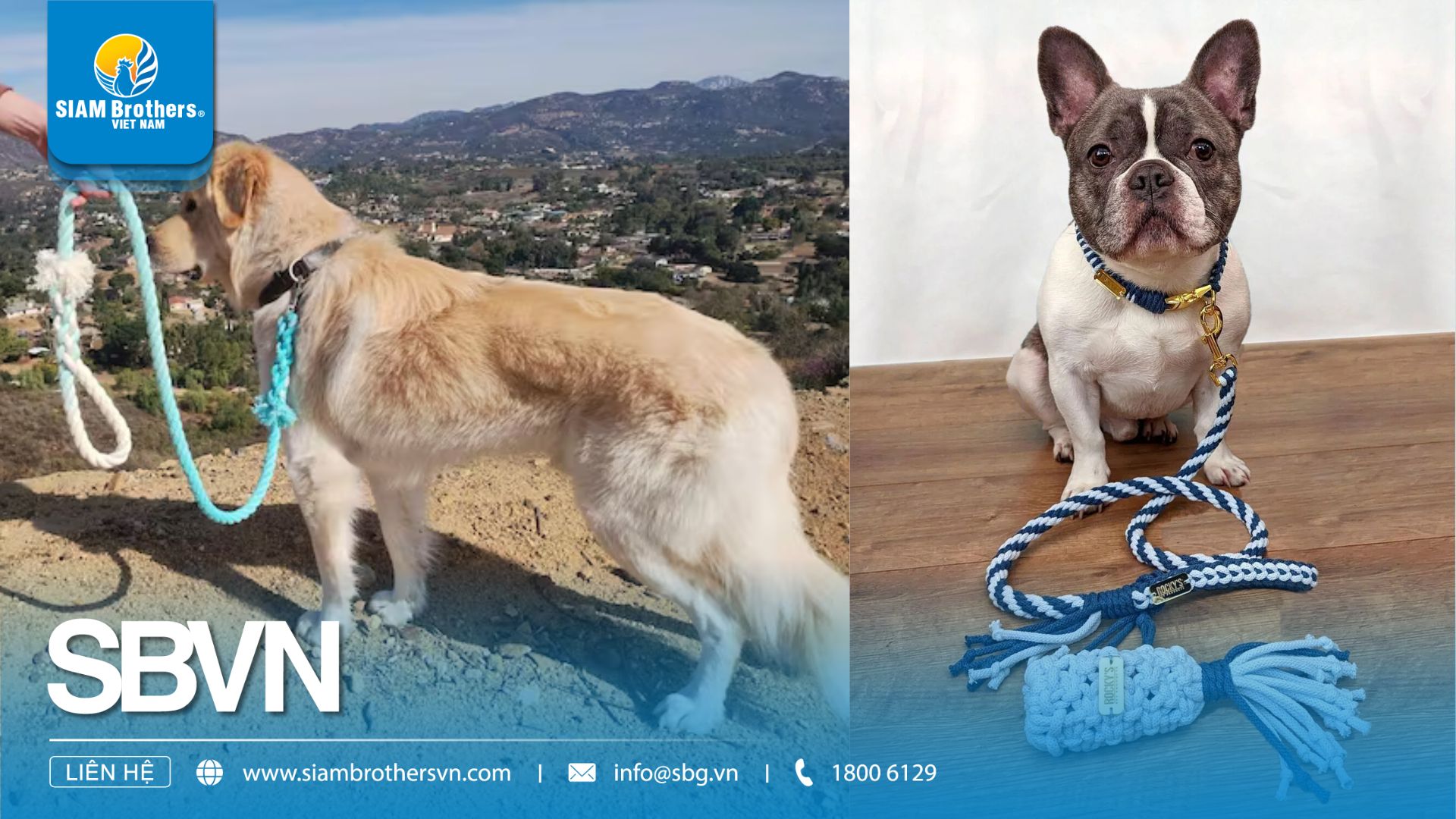 DIY đồ dùng cho thú cưng bằng dây thừng an toàn, bền đẹp