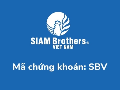 Announcement of Siam Brothers Vietnam revenue in 2020