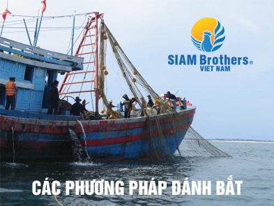 Traditional and modern fisheries capture methods and sustainable capture management methods