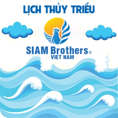 Lịch thủy triều 05/05/2023 (16/03/2023 âm lịch)