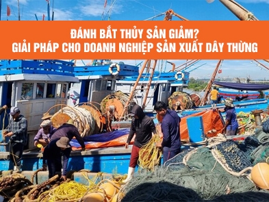 Vietnam's Fishing Industry in Decline? What's Next for Fishing Rope Manufacturers?