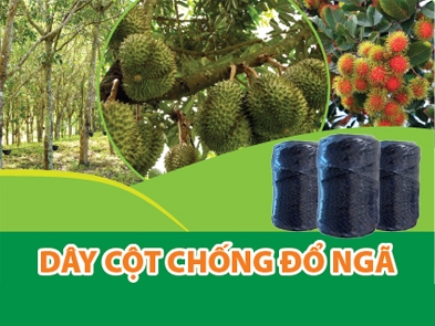 The anti-fall twine support crops - A useful product in agricultural cultivation
